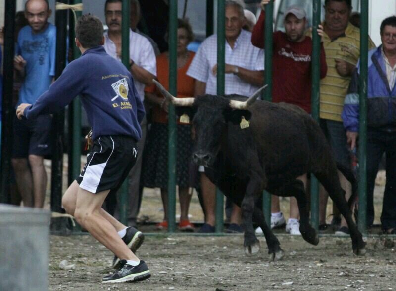 Sarrión