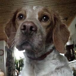 Gepensioneerd leraar elektro (Scalda), wonend in Frankrijk / prof. d'électrotechnique a la retraite, j'habite en Auvergne!