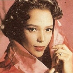 I am Tamara Roxy Toombs. I am working on The Satin Dolls Exhibit:     125 Illustrations Celebrating Beautiful Black Women: 
Dorothy Dandridge to Aaliyah