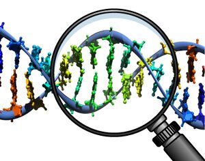 The California Genetic Privacy Network serves to empower every Californian in decision making regarding their personal genetic information.
