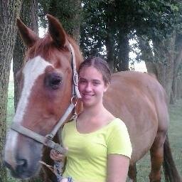love horses3