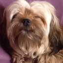 daisy sutherland:) - @nicolapolson - Twitter