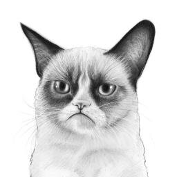 solovivan's profile picture. 