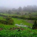 العنود (@00000s00099) Twitter