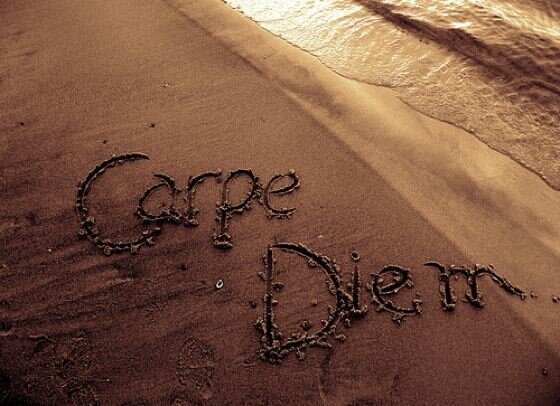 seize the day, my loves