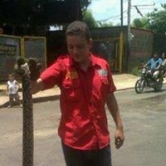 experto en matar zancudos con william