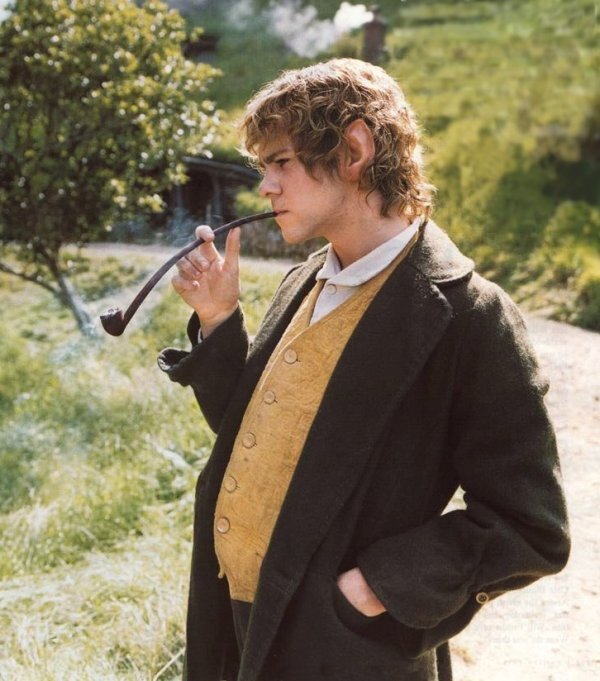 LOTR RP/parody account, fun loving hobbit good friend of pippin took loves food, & fun, my other aka is @buttermanbree
