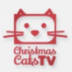 8 Christmas Cats. 1 Saucy Grandma and Elf. Streamed live. http://t.co/zaAtoZiwot soundtrack http://t.co/eU8t6shMzX adopt http://t.co/OzPDBnHmei
