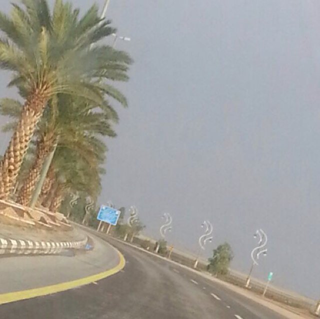 انثى من رفحاء