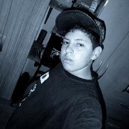 segue q sigo