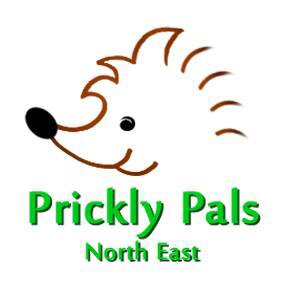 Prickly Pals North East is a small, but active, animal charity dedicated to helping hedgehogs whenever possible, that are sick, injured or orphaned.