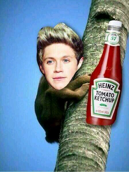 hey! you got a free follow :) please go follow @ThisAreDutchies ily xxx