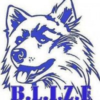 B.L.I.Z.E Rescue (@blizerescue) 's Twitter Profile