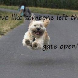 MaryChlan's profile picture. Left the cold and snow of MN to enjoy sunshine and blue skies, working on turning AZ blue!