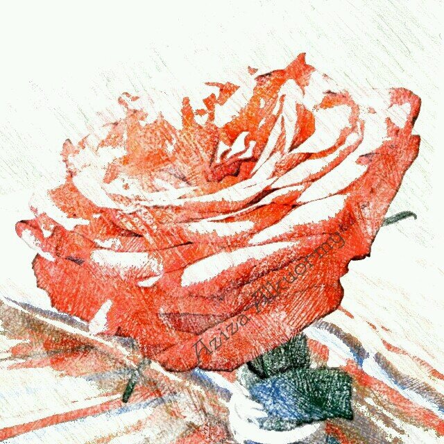 ‏‏اعشق اﻻمل وازهو بآماليے....♡انا هاكذا دائما...♡اگره المحبطين والمحبطين على حد سواء.حسابي الحالي ..