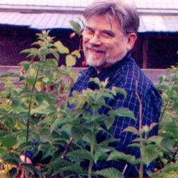 TomGraffCanada's profile picture. 