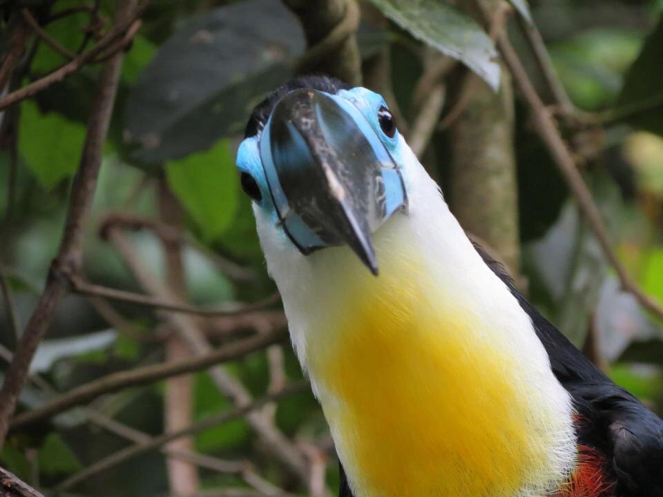 ClimateThanks's profile picture. Thankful for all the hard-working climate scientists and those covering and promoting their work, and trying to make a difference