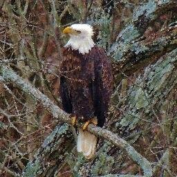 Huntington Indiana..(8...Musician (rock) and nature photographer...