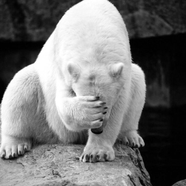 mesuchblush's profile picture. 