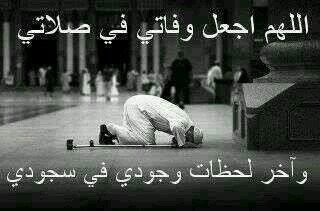ربي اغفر لي وارحمني واصلح لي ذريتي...♥♥♡