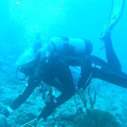 melindab8's profile picture. 