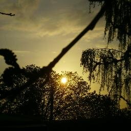 EarwinMilu's profile picture. This world would be a lot better if we took just 5 minutes to be less horrible to one another, to recognize each other’s beauty (@EllenPage). I love #LostGirl