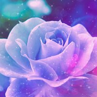 Cindylu (@mooncindylu) 's Twitter Profile