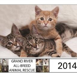 As a non profit animal rescue group, our goal is to adopt dogs, cats and other companion animals into suitable homes.
