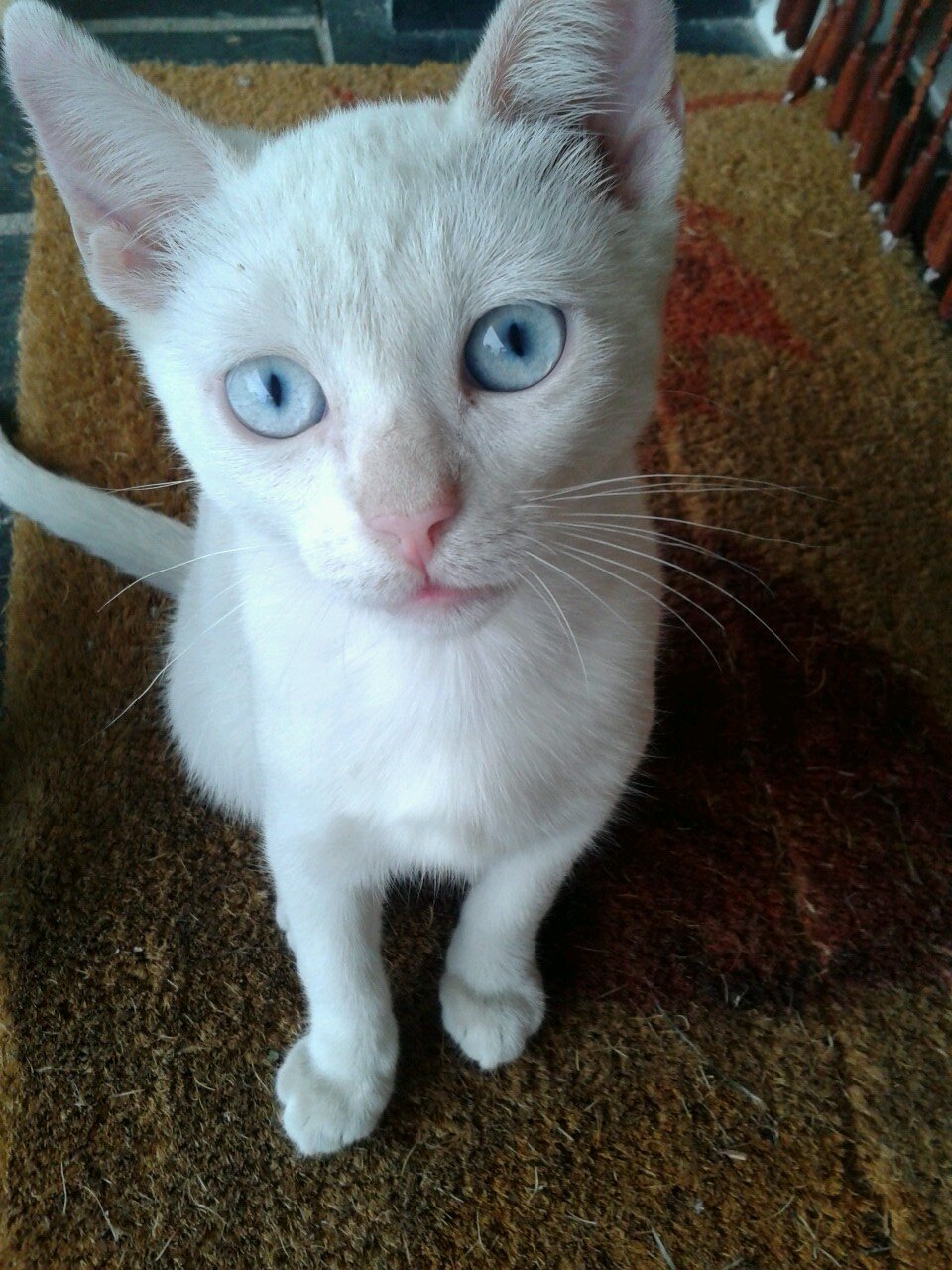 eugeniocorcoba's profile picture. un día me dijeron:me duele la piel de tantas veces que has hecho que se me erice el vello