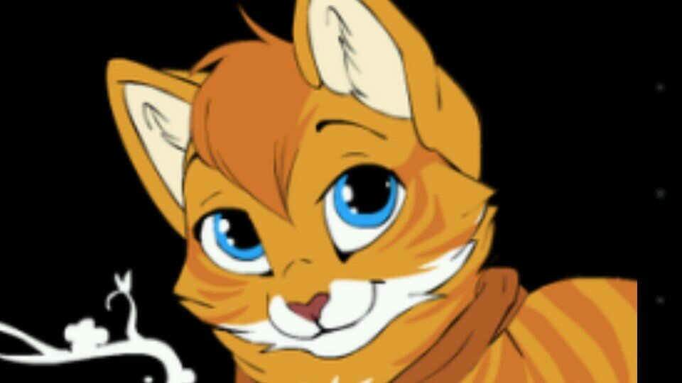 I'm TigerKit! Wants to join DC. 5 moons old! A orange kit with brown stripes! #Evil. Crush: @Berry_Kit21. Clan: None