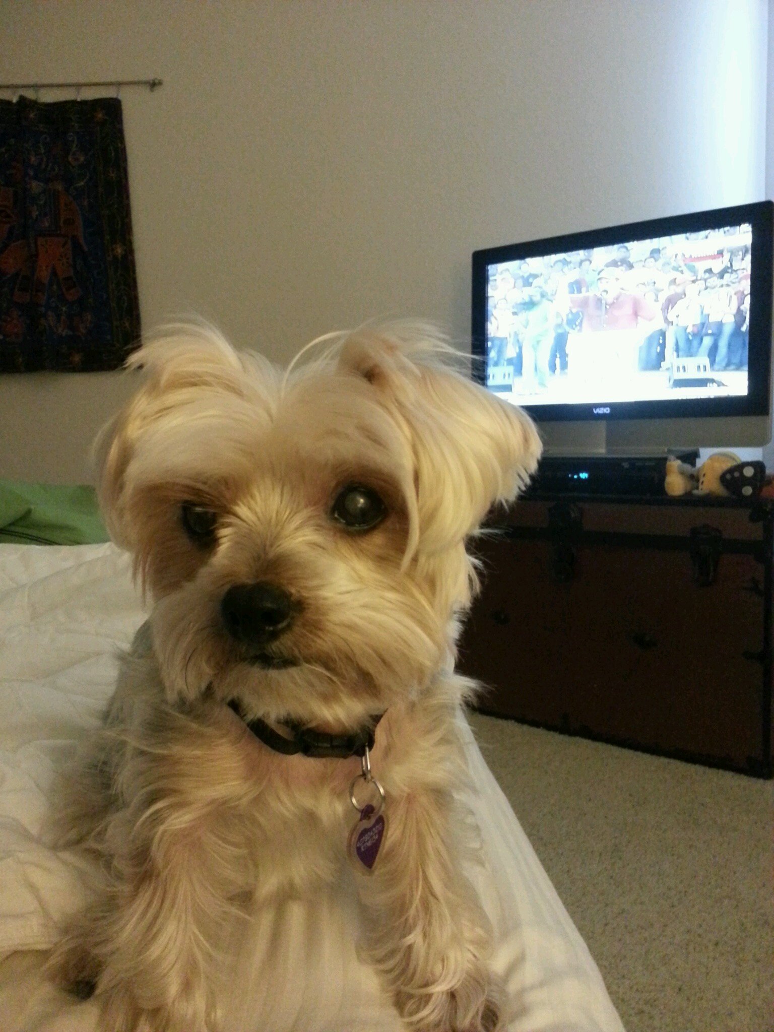 nanaggp's profile picture. 