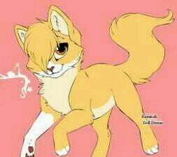Im a pretty Cream Colored She-Cat With white paws Clan:None Mate:None