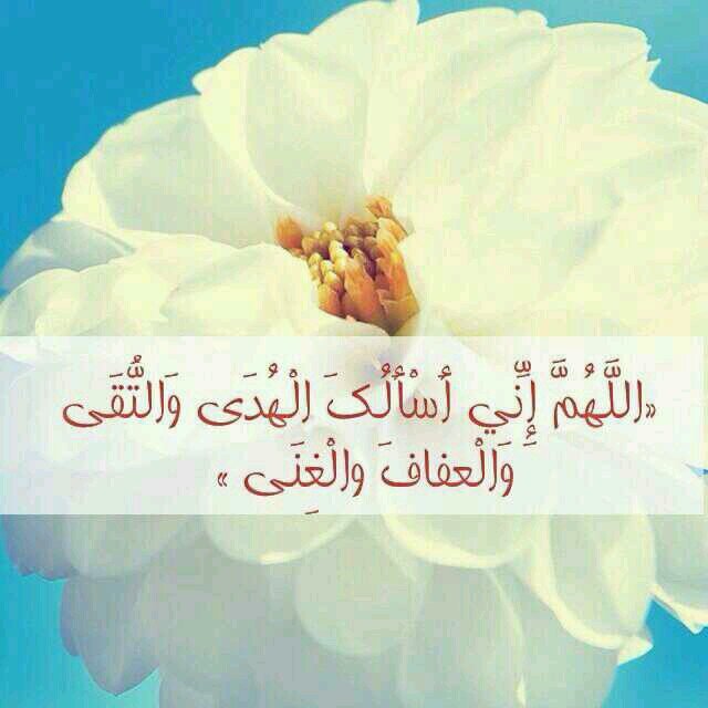 ‏‏‏‏نسأل الله العلي القدير أن يتقبل اعمالنا ويجعلها خالصه لوجهه الكريم ٠ اغرد بكل ماهو مفيد