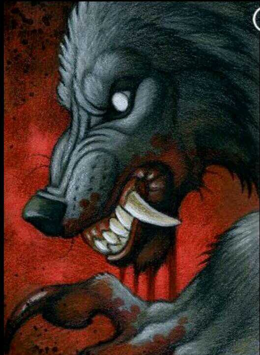 I'll kick your ass I'm a demon wolf so fuck off sister: @xxxGrumpycatxxx #male