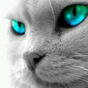(s)H! й-jh @RAD- (@000Duradura) Twitter