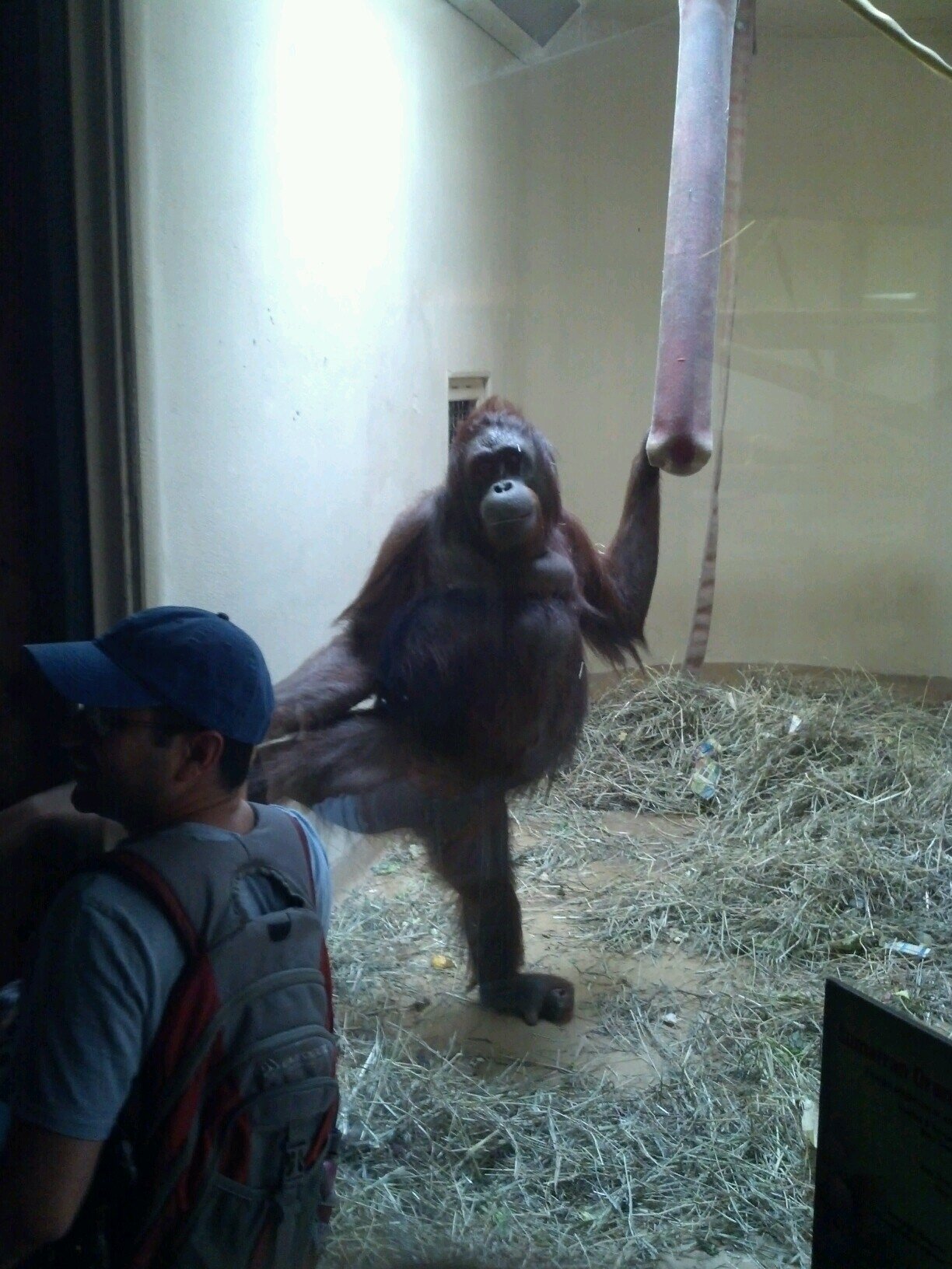 AlphaFemme1's profile picture. 