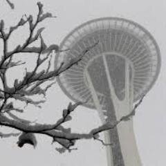 SHAREprojectSEA's profile picture. Seattle's Homeless Awareness Resolution Enactment; Around 9K people suffer silently on the streets through our city's frigid winter. Join the project #makeadiff