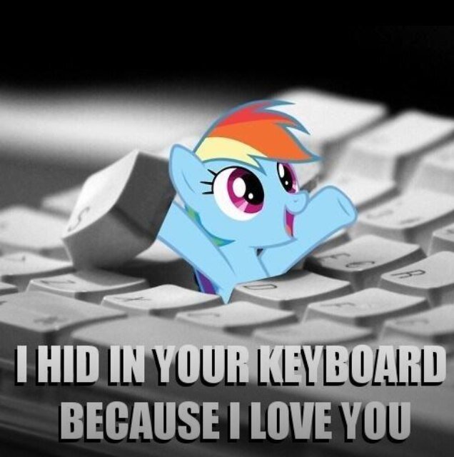 AN AWESOME BRONY!!!!!!!!!!!!!!!!!!!!!!!!!!!!!