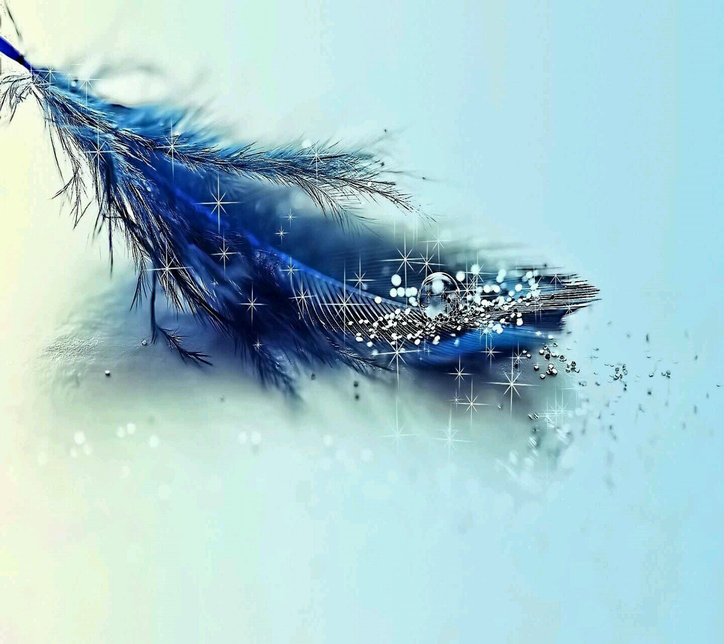 سبحان الله وبحمده    سبحان الله العظيم