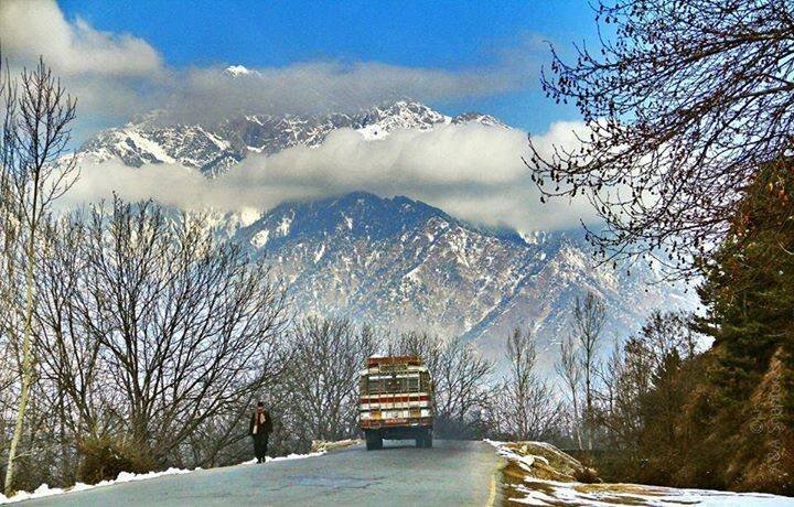 kamran19464's profile picture. 