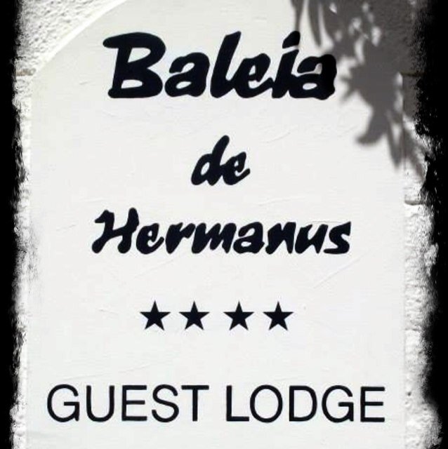Unforgettable, Uncomplicated Hospitality. Walk to the Foreshore. A Jolly Good Guest House by far! You can always Check Out but your Heart will never leave us!