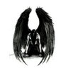 MariuzzoMauro's profile picture. 