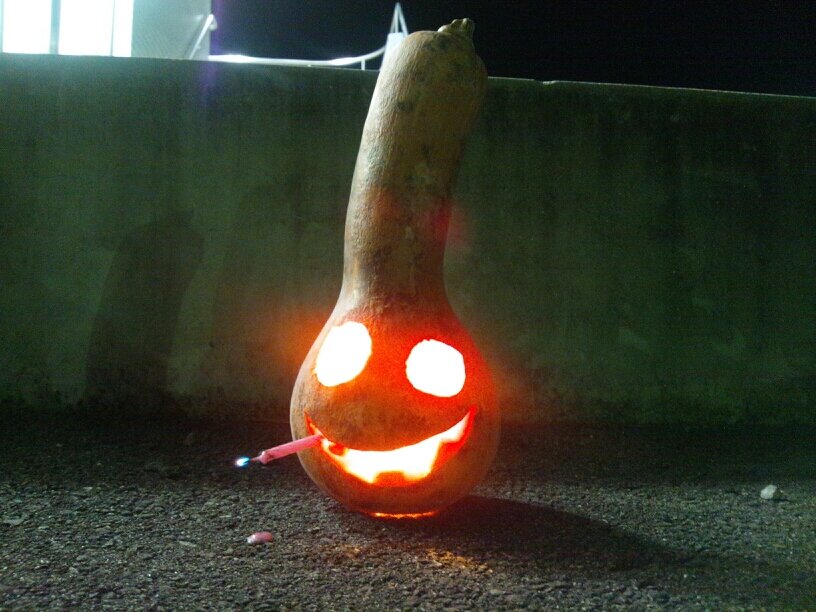 手花供さんのプロフィール画像