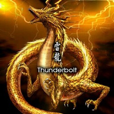 雷龍+身代わり www.vetrepro.fr