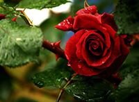 #TEAMFOLLOWBACK.