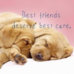 Best FRIENDS deserve BEST CARE. https://t.co/gkvapdgC10