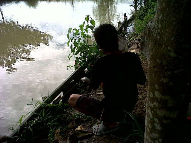 Siicapline's profile picture. 