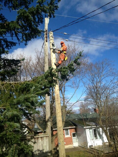 Powerline Technician, husband and father to 4 beautiful girls