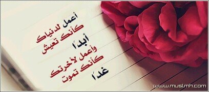 ‏‏‏ضيفني
أضيفك










ضيفني
أضيفك
