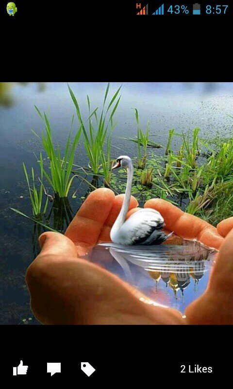 iskhan.udin@facebook.com